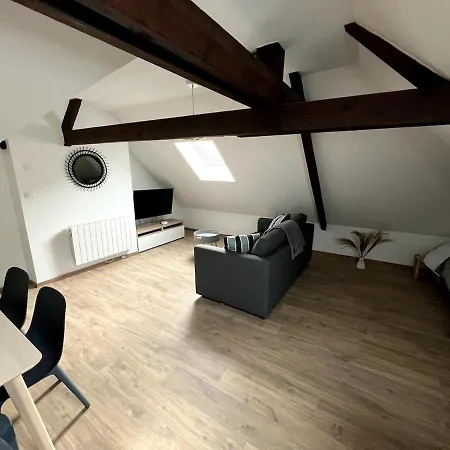 Sous Les Toits - Familial 5p, Centre-ville Appartement